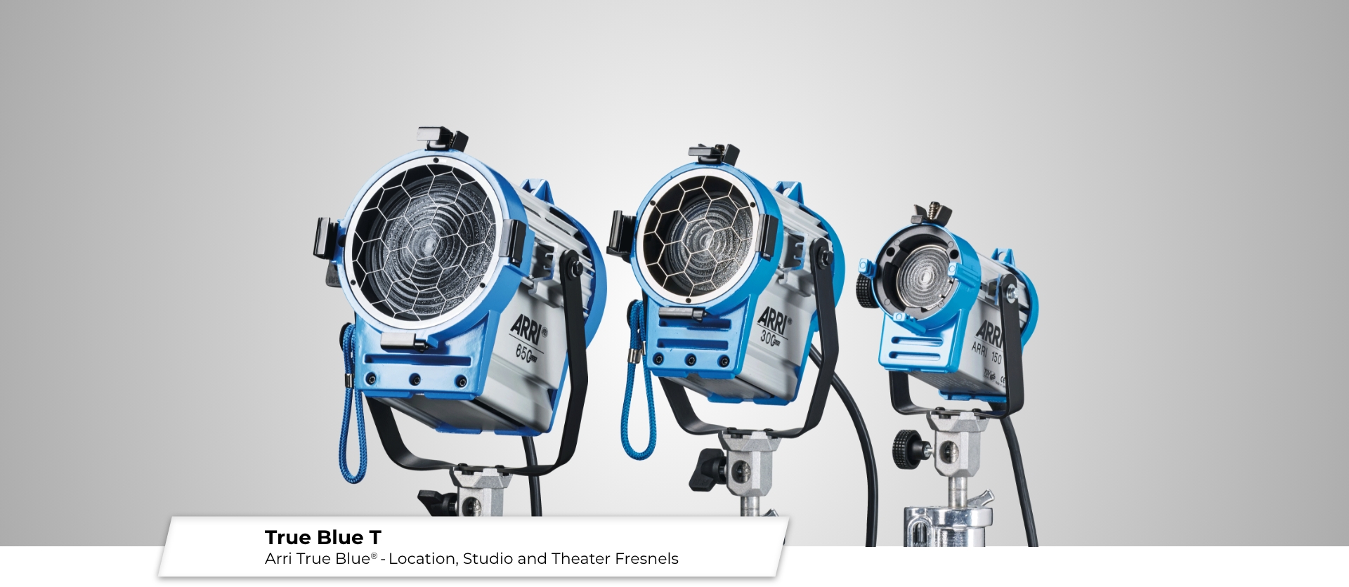 Kategorie Banner Beschreibung