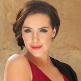 Lastolite Trigrip Sunfire/Silber 120cm 