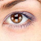 Lastolite Triflector Aufheller Set mit 3 Gold/Weiß Panels 