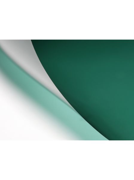 PLUS / MINUS GREEN / FLUORESCENT