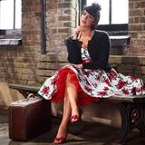 Lastolite Ezybox Hotshoe 60cm Wabeneinsatz für LL LS2462 