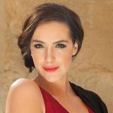 Lastolite Trigrip Silber/Weiß 120cm 