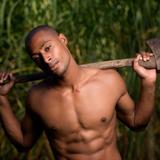 Lastolite Joe McNally Skylite Rapid Diffusor mit Blende 