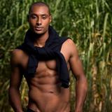 Lastolite Joe McNally Skylite Rapid Diffusor mit Blende 