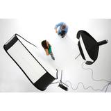 Lastolite Hilite Hintergrund 250x215cm 