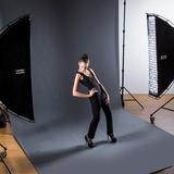 Lastolite Ezybox Pro Strip 25 x 150cm 