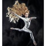 Lastolite Ezybox Pro Strip 25 x 150cm 