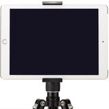 JOBY GripTight Mount PRO Tablet Stativ, Für 7-10 Zoll Tablet-PCs wie das iPad Mini oder das iPad Air Pro 9.7