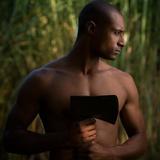 Lastolite Joe McNally Skylite Rapid Diffusor mit Blende 