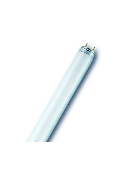 Leuchtstofflampen Röhrenform