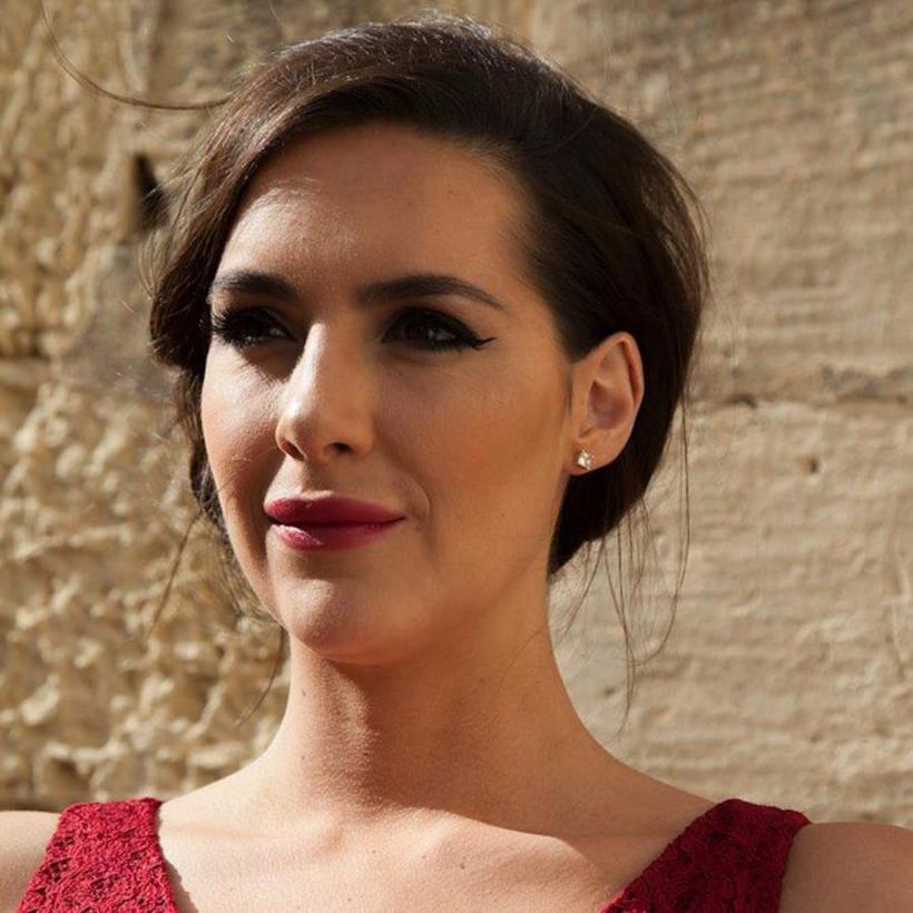 Lastolite Trigrip Difflector (Diffuser+Soft Silber) 75cm 